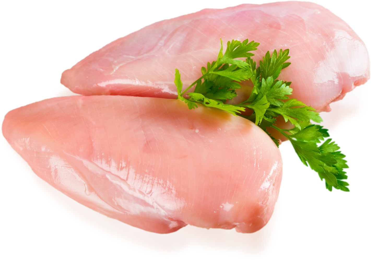 Chicken Breast