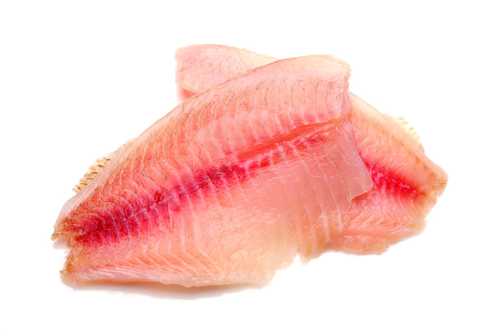 Fresh Tilapia Fillet